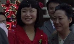 小麦进城全集在线观看,都市梦想与乡村情怀的交织之旅