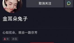 娱乐圈内人爆料小说,揭秘小说背后的真实故事